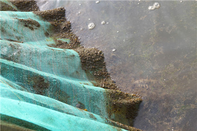 高壓清洗機(jī),進(jìn)口高壓清洗機(jī),高壓清洗機(jī)價格,超高壓清洗機(jī)