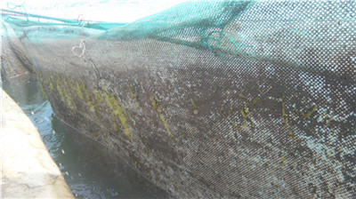 高壓清洗機(jī),進(jìn)口高壓清洗機(jī),高壓清洗機(jī)價(jià)格,超高壓清洗機(jī)