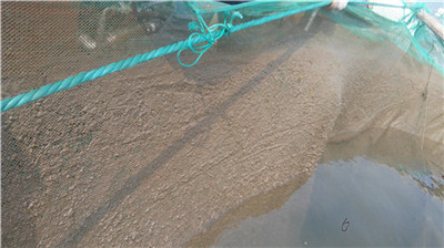 高壓清洗機(jī),進(jìn)口高壓清洗機(jī),高壓清洗機(jī)價(jià)格,超高壓清洗機(jī)