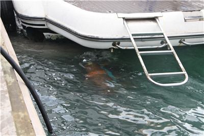 高壓清洗機,進口高壓清洗機,高壓清洗機價格,超高壓清洗機