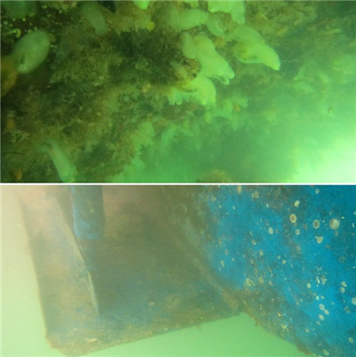 高壓清洗機,進口高壓清洗機,高壓清洗機價格,超高壓清洗機