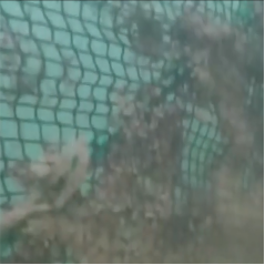 高壓清洗機(jī),進(jìn)口高壓清洗機(jī),高壓清洗機(jī)價(jià)格,超高壓清洗機(jī)