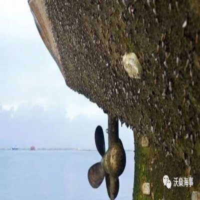 船體生物污損問題得到重視