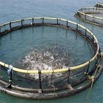 應對夏季海生物生長迅速的海洋平臺養(yǎng)殖網(wǎng)箱清洗